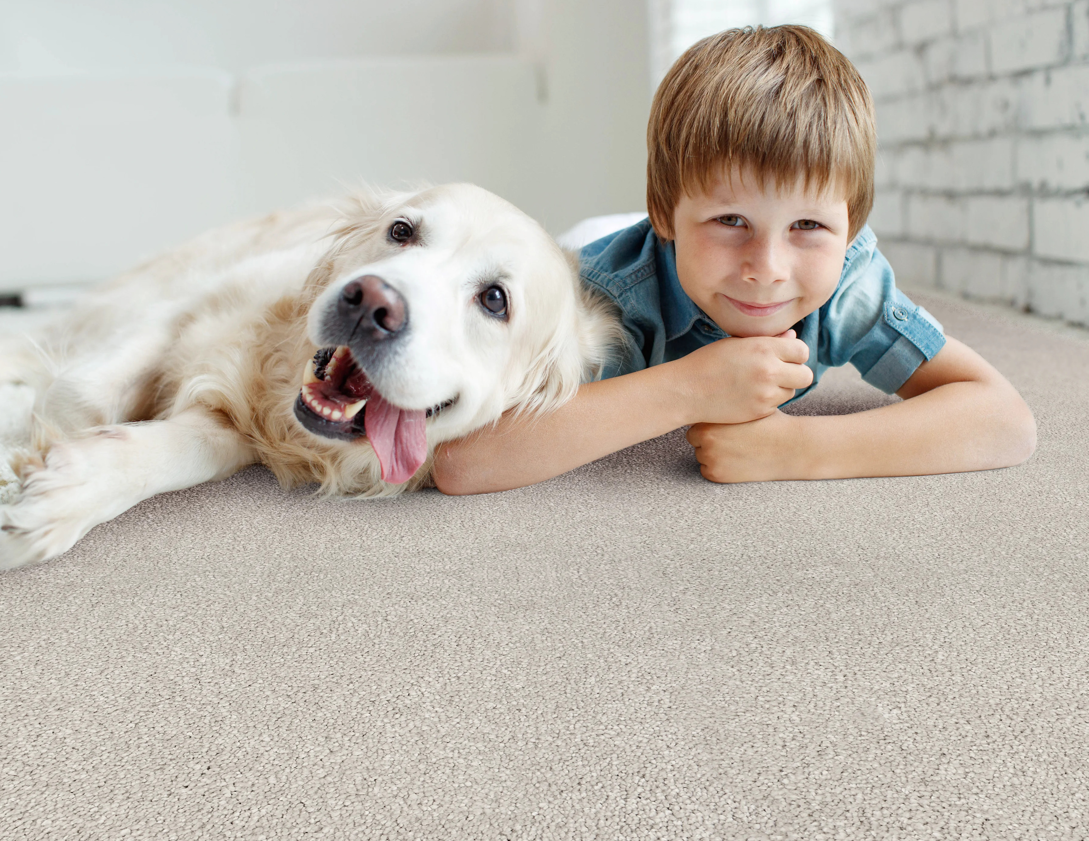 laminate flooring at Bucks County Carpet & Floor